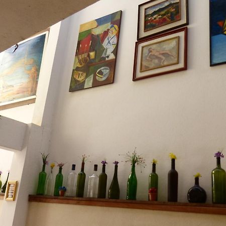 Pousada Flor Amarela Balneário Camboriú 外观 照片